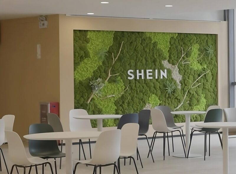 Credit: SHEIN/Instagram
