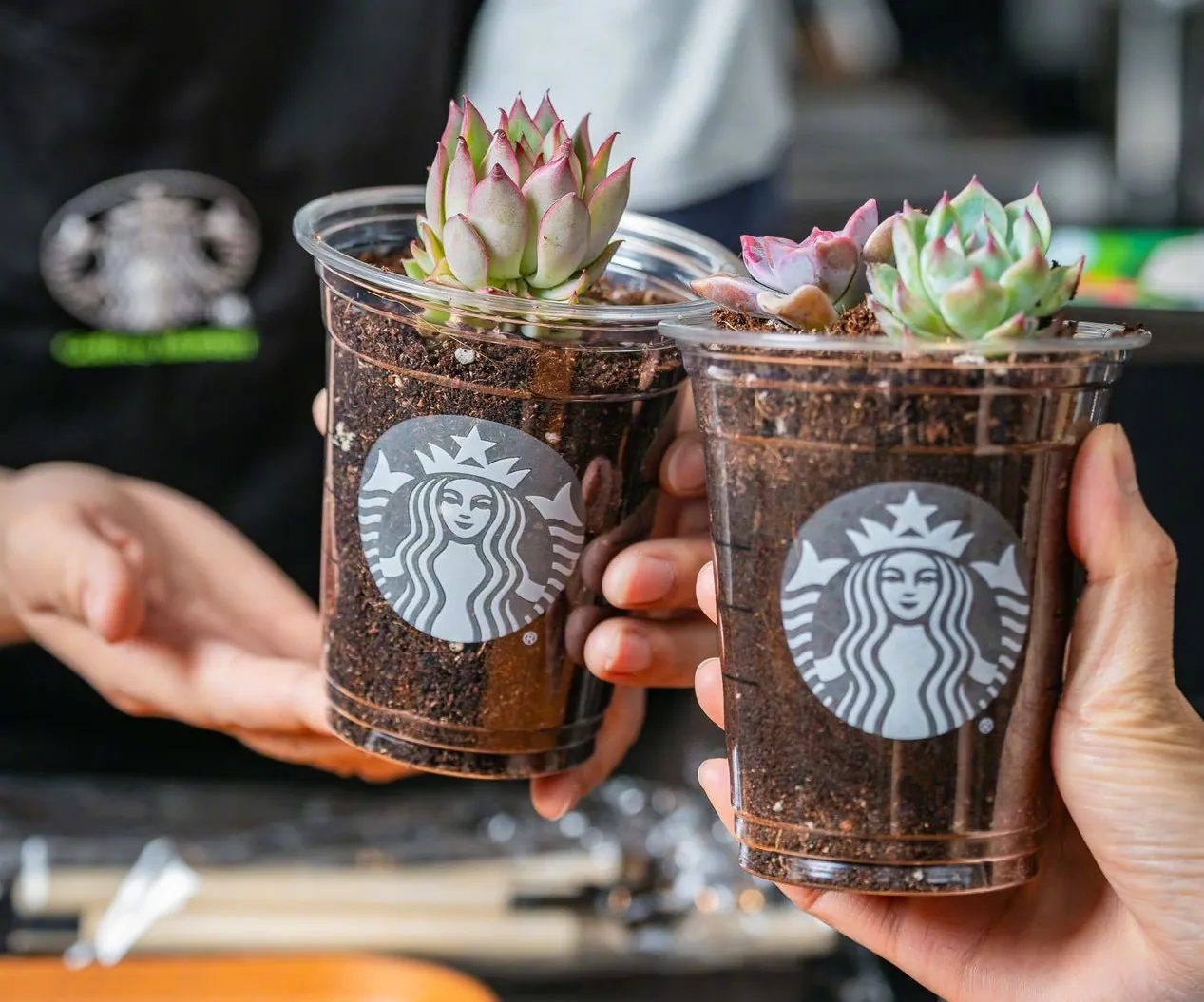 Credit: Starbucks China/Weibo