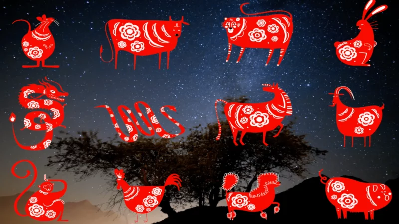Chinese New Year zodiac animals